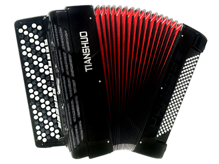 Tianshuo Bayan Accordion - 120 Bass - Black