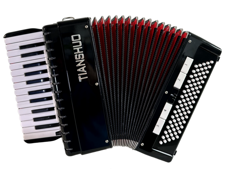 Tianshuo Piano Accordion - 80 Bass - Black