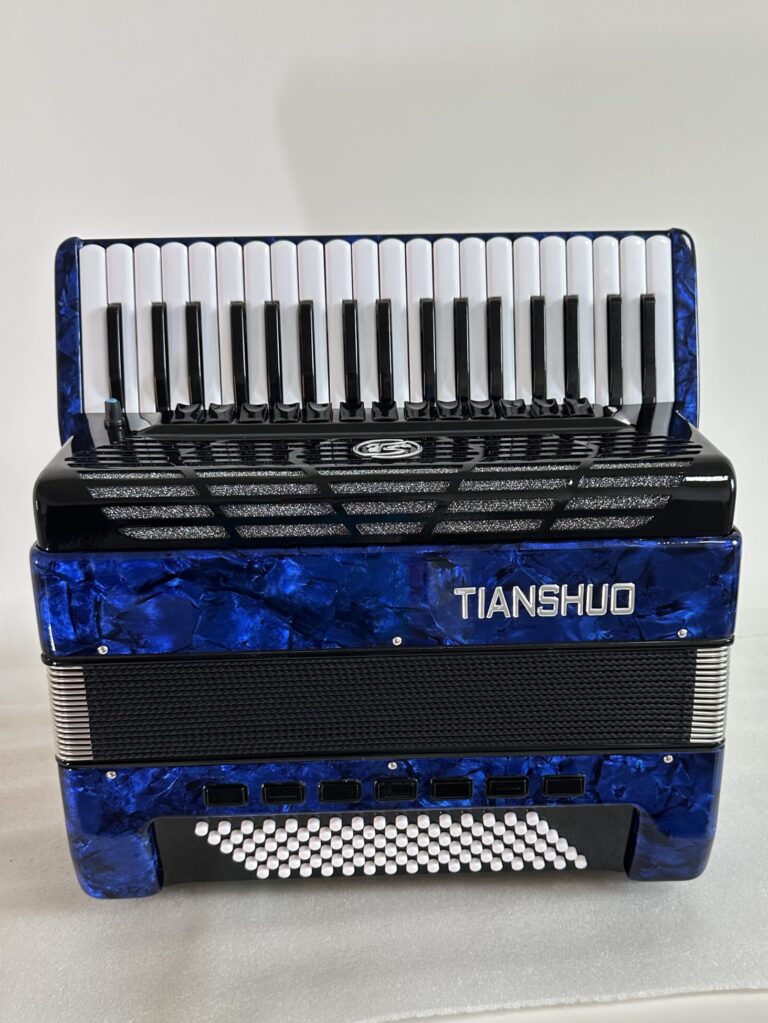 Tianshuo digital piano accordion - 96 bass - blue