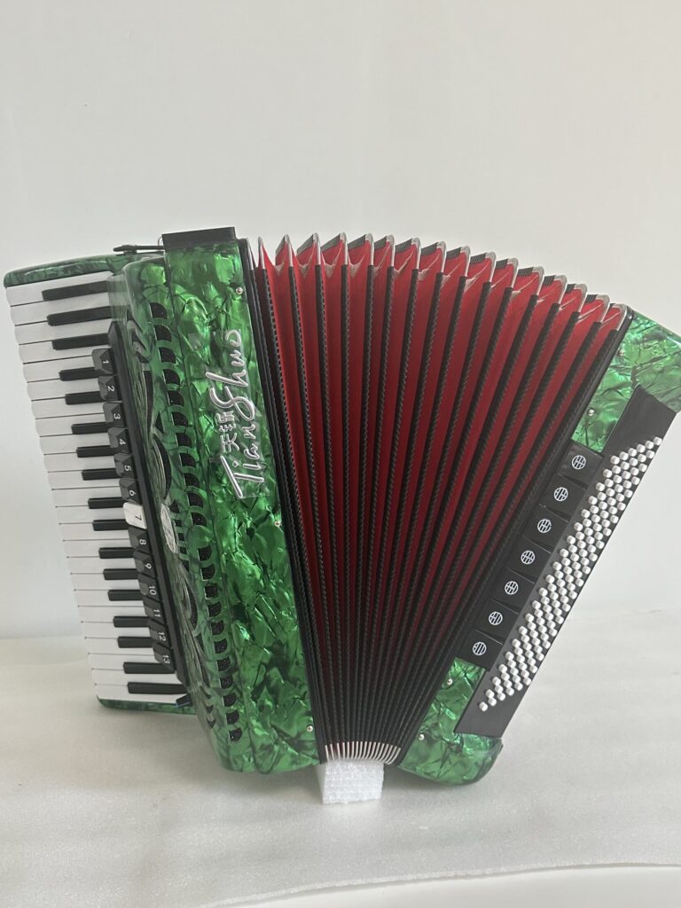 Tianshuo digital piano accordion - 120 bass - green