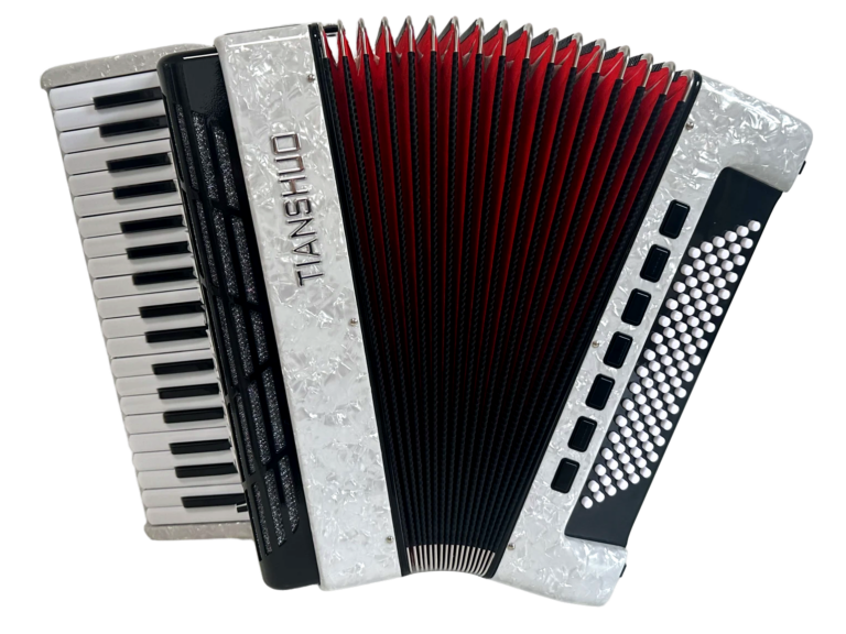 Tianshuo Piano Accordion - 96 Bass - Silver
